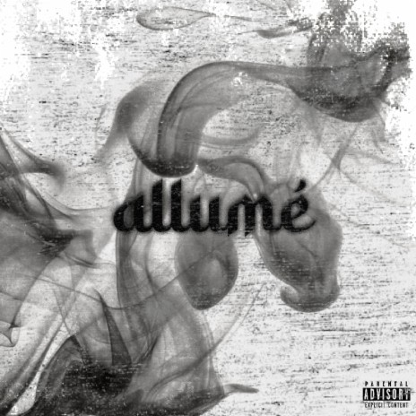 Allumé ft. Goose | Boomplay Music