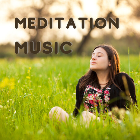 Meditative Stillness ft. Meditation Music, Meditation Music Tracks & Balanced Mindful Meditations | Boomplay Music