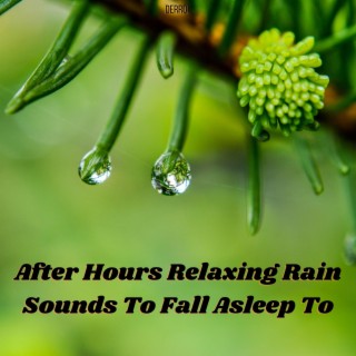 After Hours Relaxing Rain Sounds To Fall Asleep To