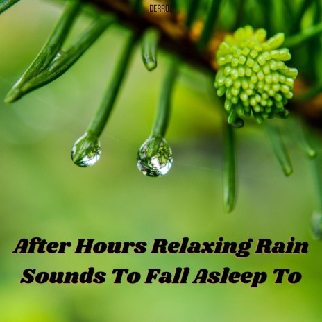 Relaxing Rain Sleep Sounds | Boomplay Music