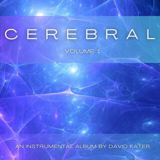 Cerebral Volume 1