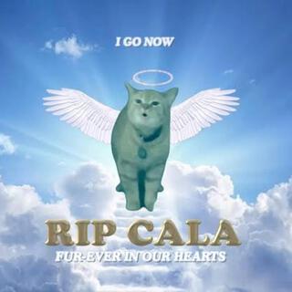 I don't know who i am (RIP Cala)