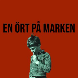 En ört på marken