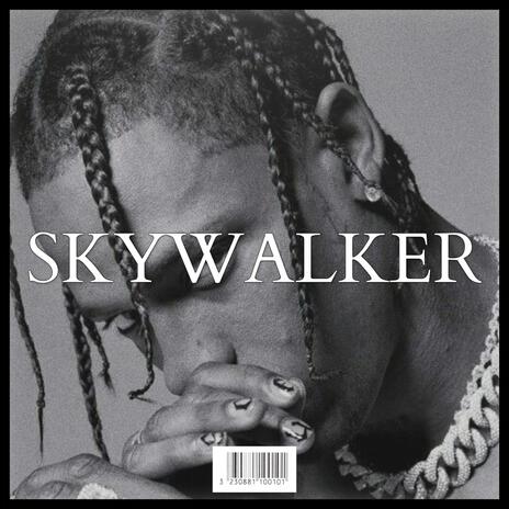 SKYWALKER | Boomplay Music