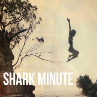 Shark Minute