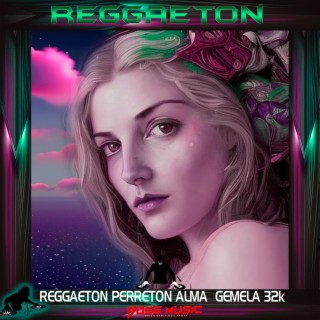 REGGAETON PERRETON ALMA GEMELA 32k