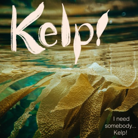 Kelp! | Boomplay Music