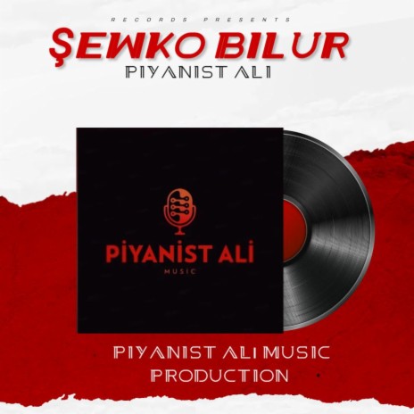 ŞEWKO BİLUR | Boomplay Music