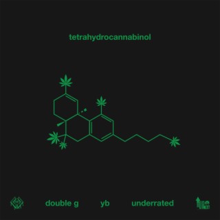 Tetrahydrocannabinol ft. YB & Underrated lyrics | Boomplay Music
