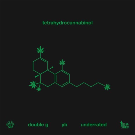 Tetrahydrocannabinol ft. YB & Underrated