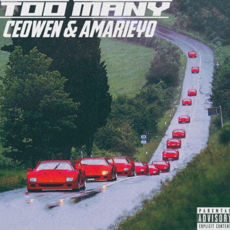 Too Many ft. Amarieyo | Boomplay Music