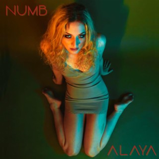 Numb lyrics | Boomplay Music