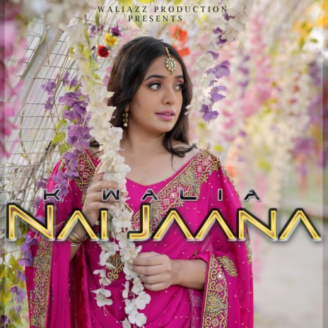 Nai Jaana | Boomplay Music