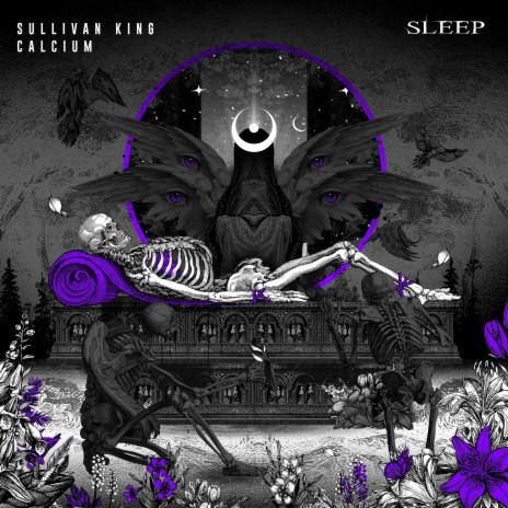 Sleep (with Calcium) | Boomplay Music