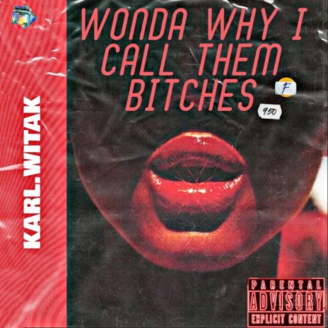 Wonda Why I Call Them Bitches | Boomplay Music