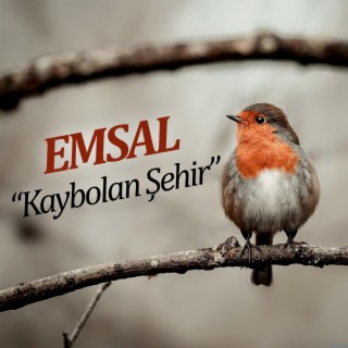 Kaybolan Şehir lyrics | Boomplay Music