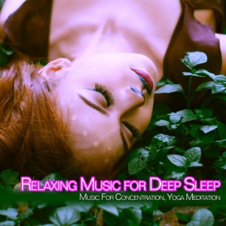 Relaxing Music for Deep Sleep: Music For Concentration, Yoga, Meditation