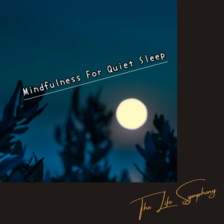 Mindfulness for Quiet Sleep