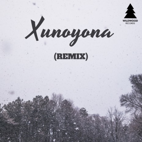 Xunoyona (Remix) ft. Debabrata Gogoi | Boomplay Music