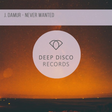 Never Wanted | Boomplay Music