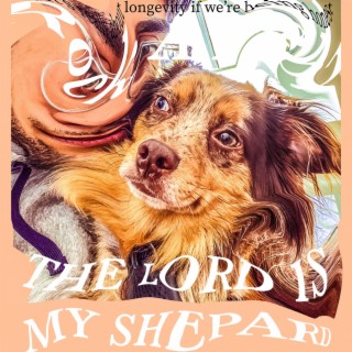 The Lord Is My Shepard