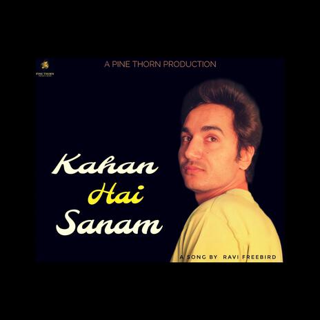 Kahan Hai Sanam | Boomplay Music