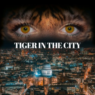 Tiger In The City