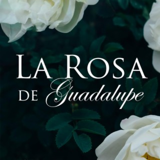 Soundtrack La Rosa De Guadalupe 49 Scary Noir