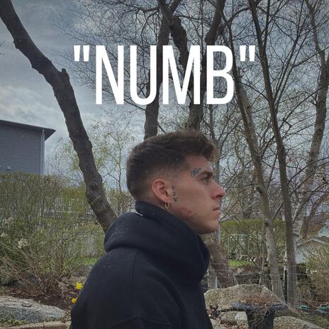 Numb | Boomplay Music