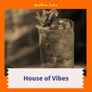 House of Vibes