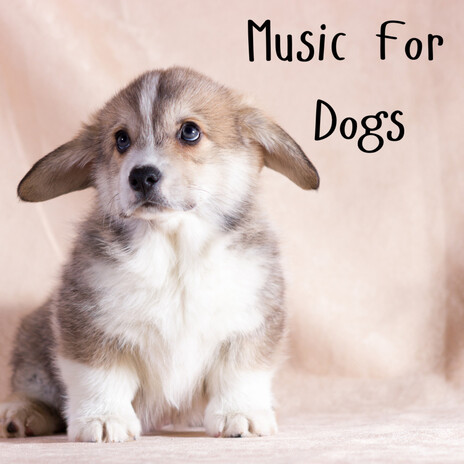 Dreaming of Bacon Strips ft. Music For Dogs Peace, Relaxing Puppy Music & Calm Pets Music Academy | Boomplay Music