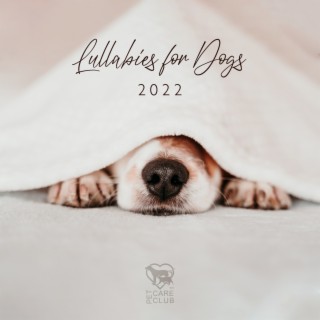 Lullabies for Dogs 2022: Sleep Sounds for Dogs, Soothing Music to Help Your Puppy Go to Sleep at Night, Relaxation Bedtime Songs