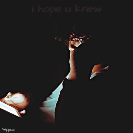i hope u knew | Boomplay Music