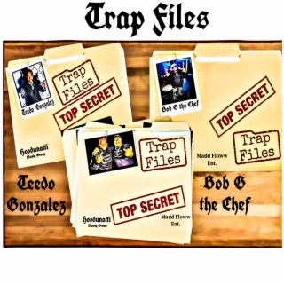 Trap Files
