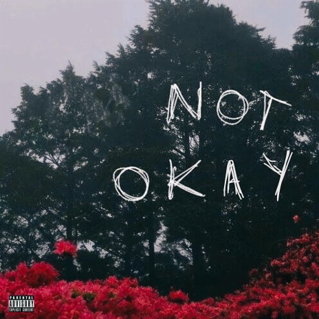 Not Okay | Boomplay Music