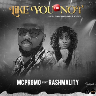 Like you or Not ft. Rashmality lyrics | Boomplay Music