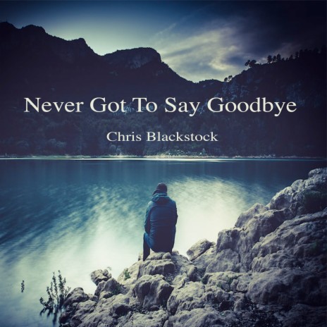 Never Got to Say Goodbye
