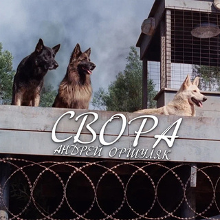 Свора