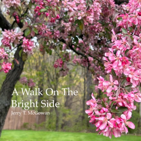 A Walk On The Bright Side | Boomplay Music