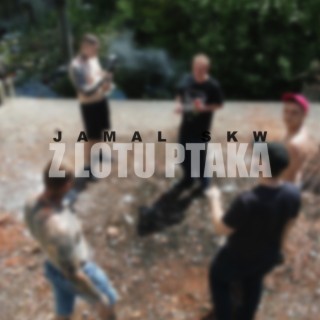 Z lotu ptaka