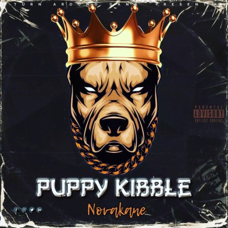 Puppy Kibble | Boomplay Music