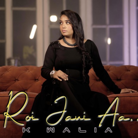 Roi Jaani Aa | Boomplay Music