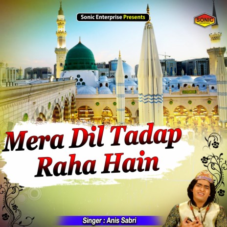 Mera Dil Tadap Raha Hain (Islamic) | Boomplay Music