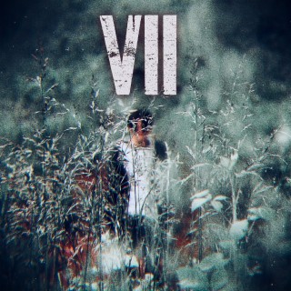 VII