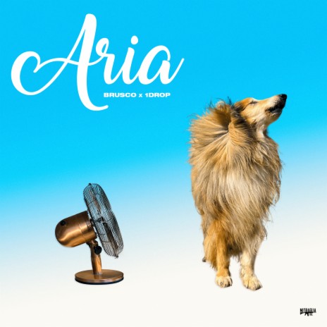 Aria ft. 1Drop | Boomplay Music