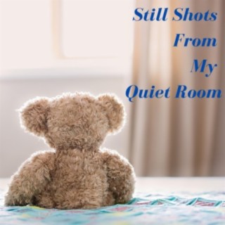 Still Shots From My Quiet Room