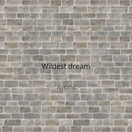 Wildest Dream ft. Aniketh | Boomplay Music