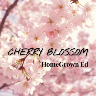 Cherry Blossom