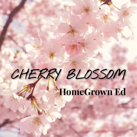 Cherry Blossom | Boomplay Music
