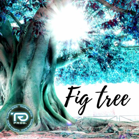 Fig Tree | Boomplay Music